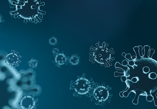 COVID-19 Statement | Reeco